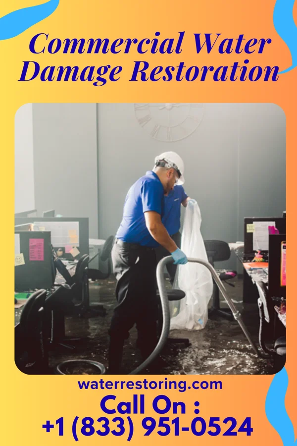 Commercial Water Damage Restoration in Alvarado, MN