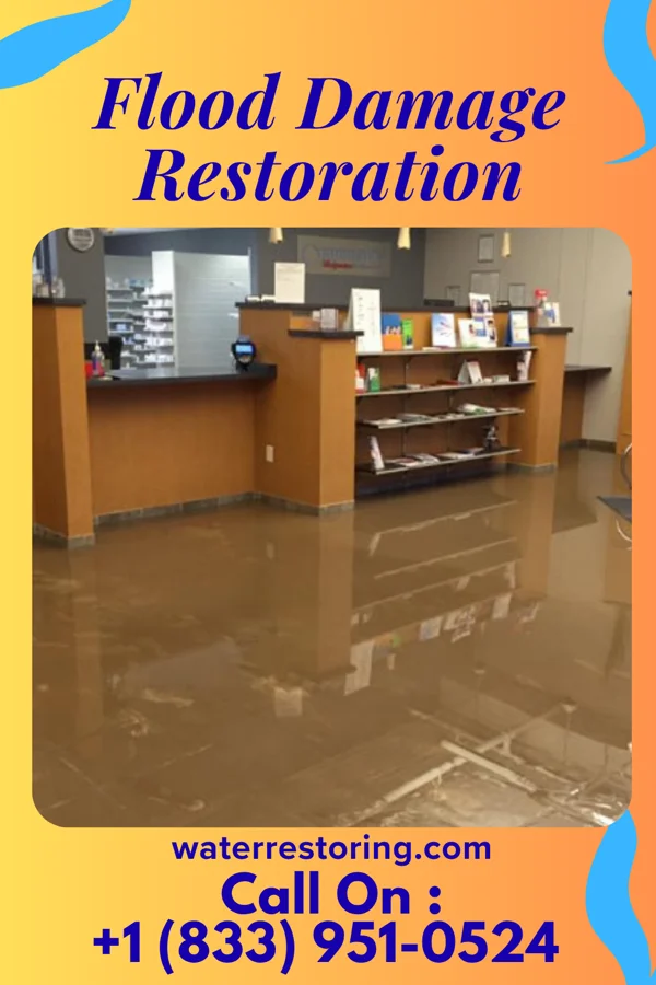 Flood Damage Restoration in Alvarado, MN